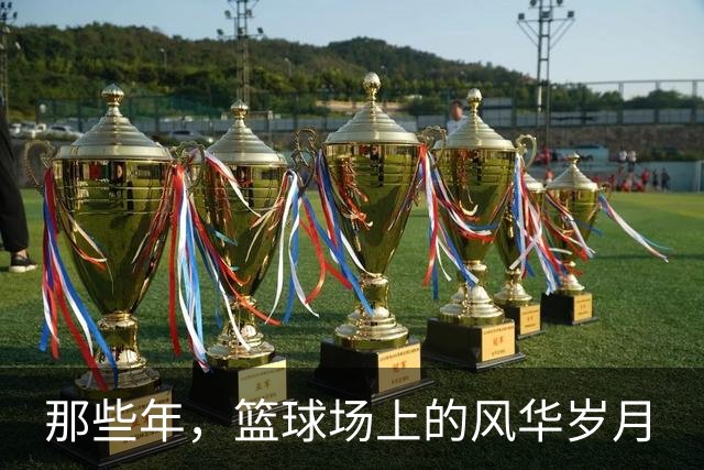 那些年，篮球场上的风华岁月